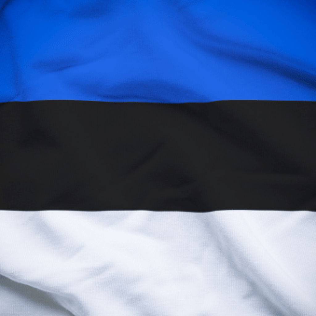 Estonia flag – Schengen visa requirement