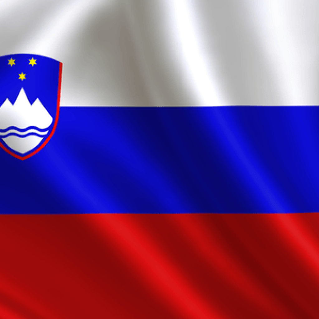 Slovenia flag image